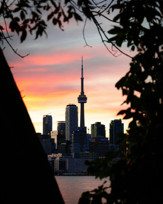 a picture of the skyline from across the bay