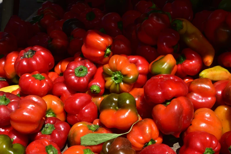 peppers, pepperoni, tomatoes, and more arranged together