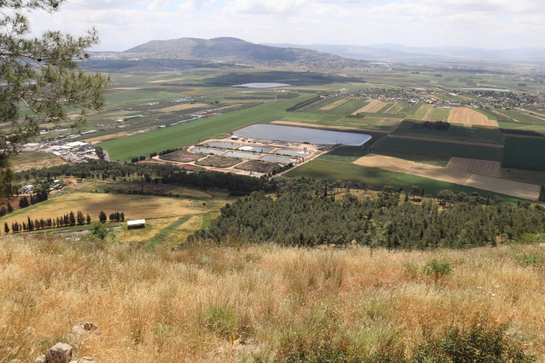 large grassy field with large factory near by