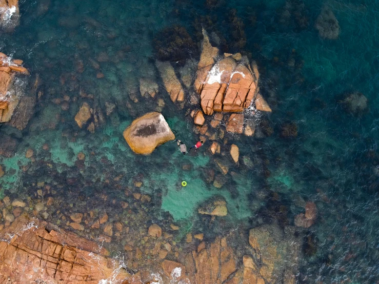 an aerial view of people at the beach on a sunny day