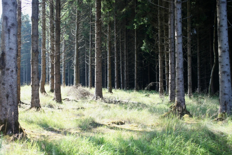 an image of a field that is very big