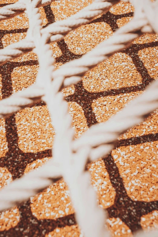 a close up po of cookies with chocolate toppings in them