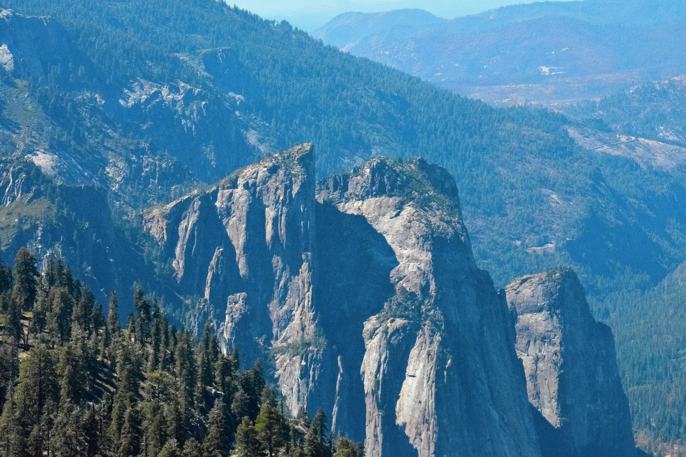 an airplane is flying over some mountains with tall trees