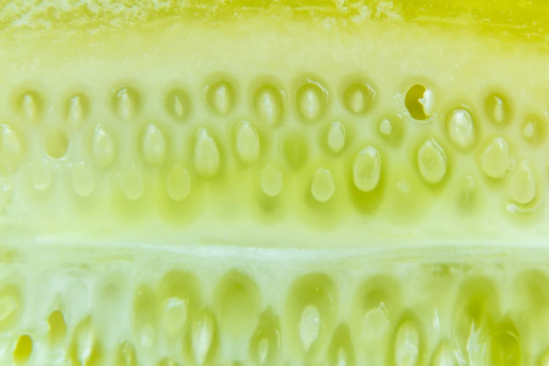 a cut in half slice of fruit with seeds