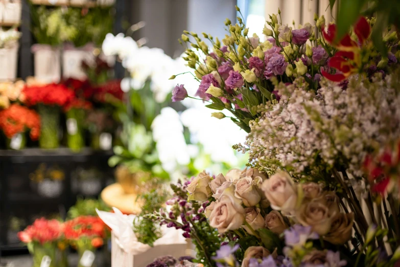 many different colored flowers arranged in a row