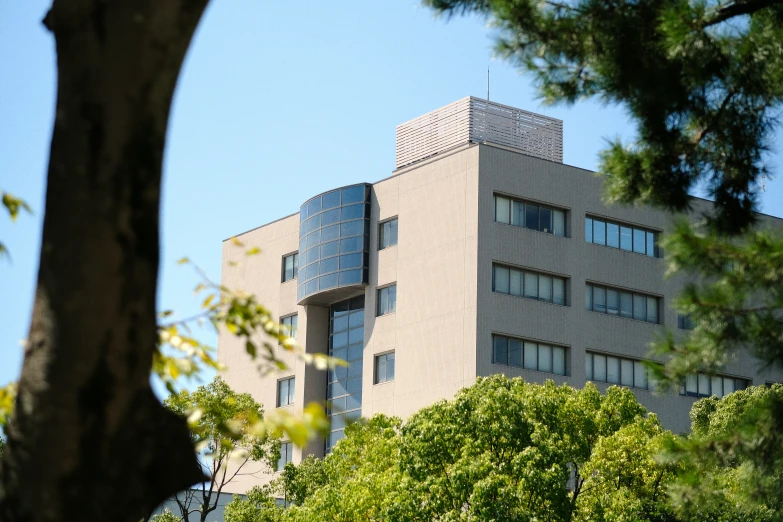 a tall building is in the background between trees