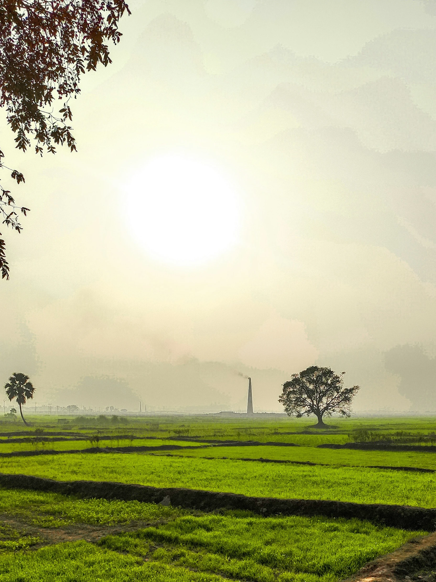 sun over the countryside in india