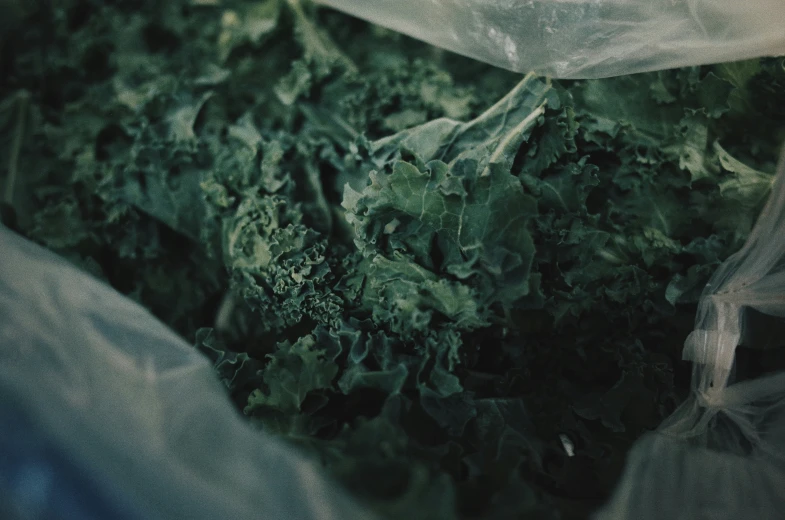 large green vegetables in a mesh bag together