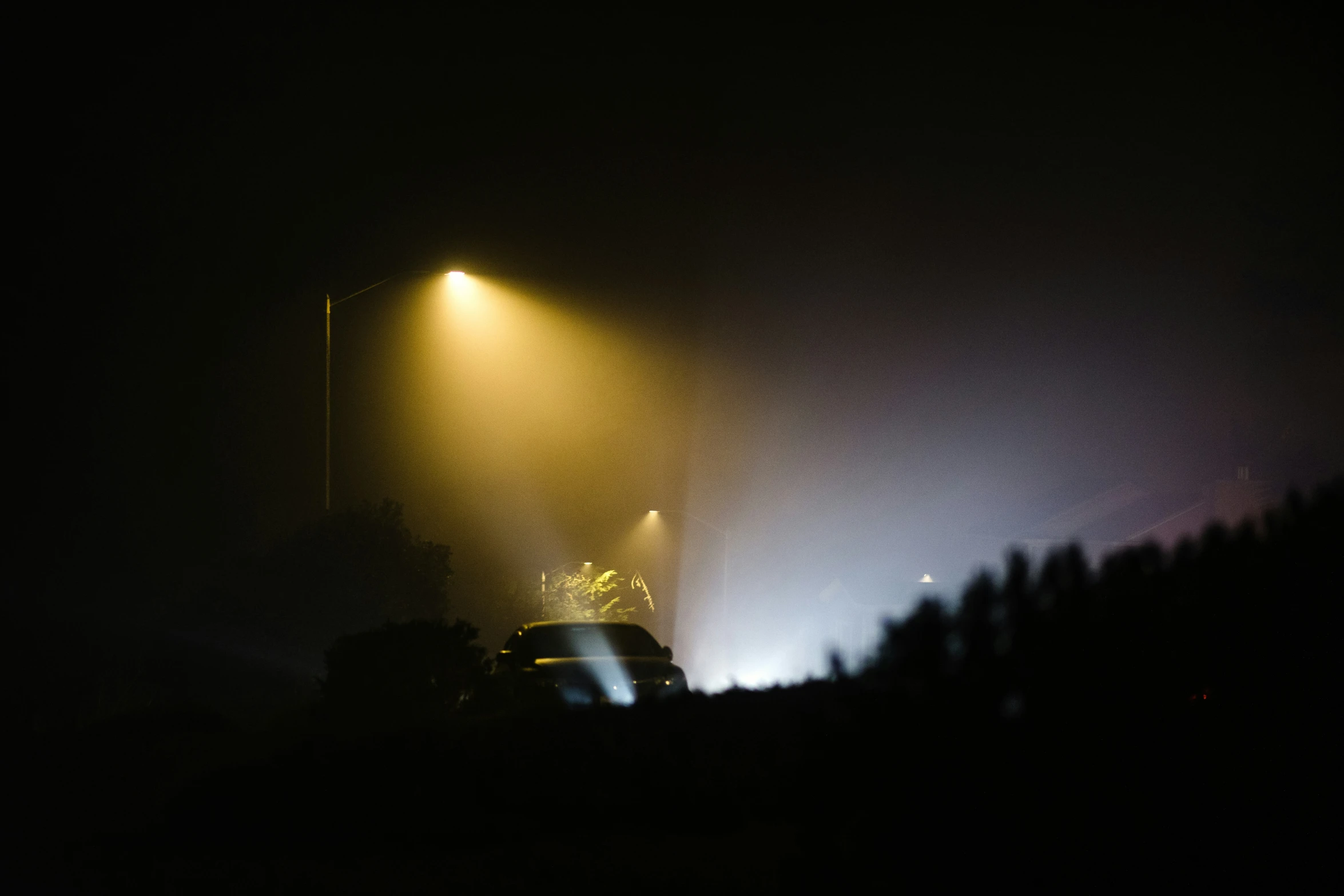 fog and lights of a concert in a darkened area