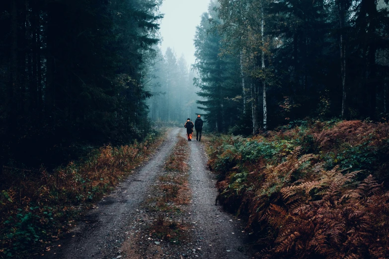 two people are walking down a dirt road in the middle of the woods