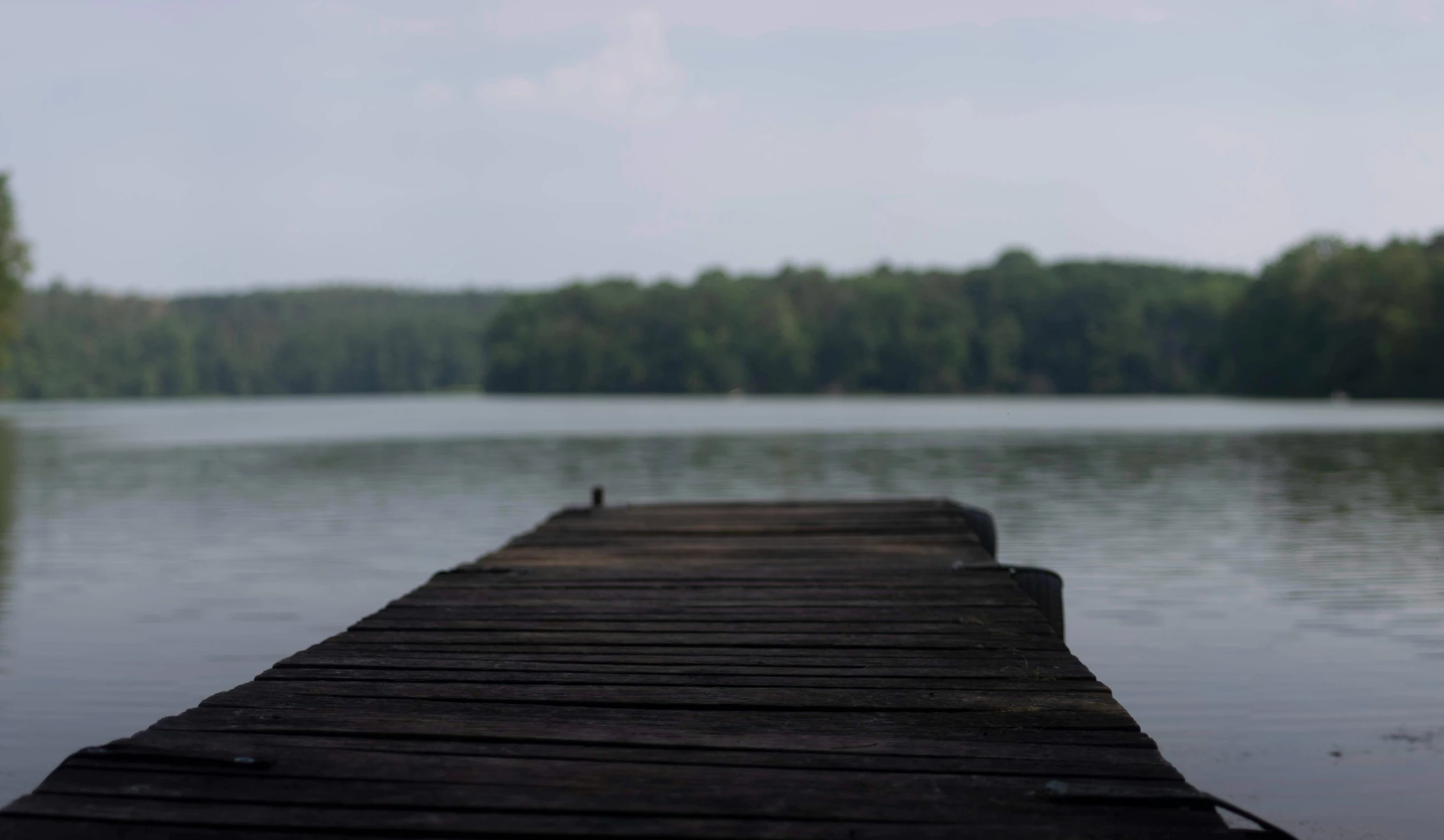 two birds sit on the end of a dock