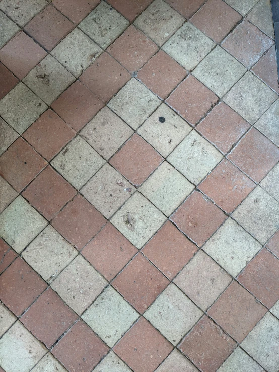 a black cat laying on a floor looking down