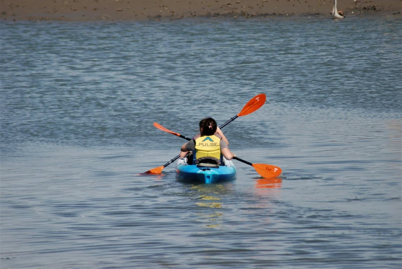 woman wearing blue life vest paddle boarding with seagulls on water