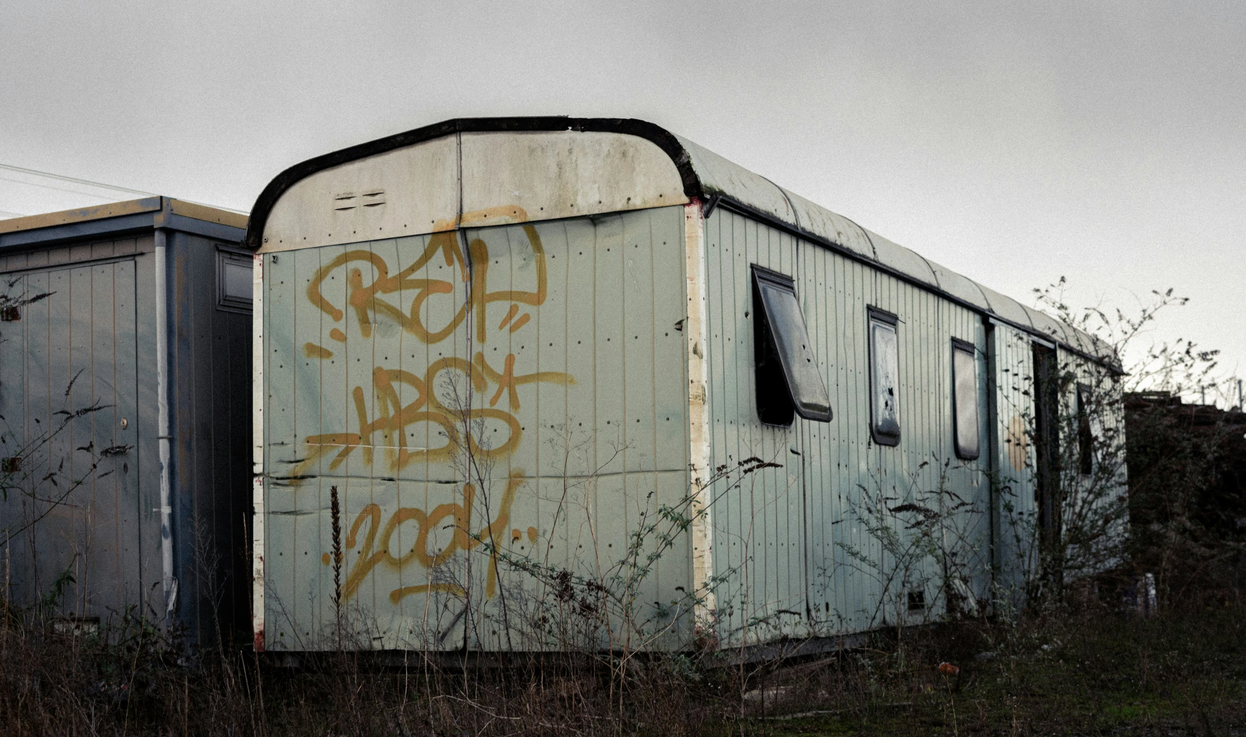 graffiti spray painted on an abandoned train car