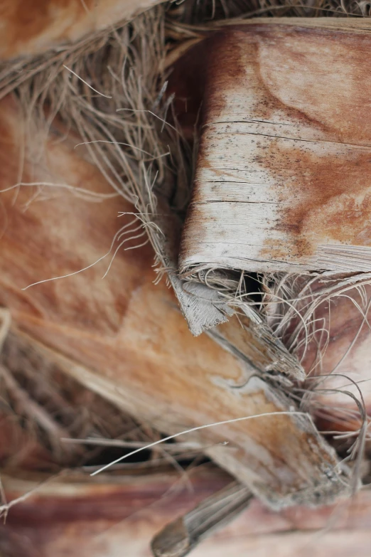 some brown material is covering the surface of a pile of hay