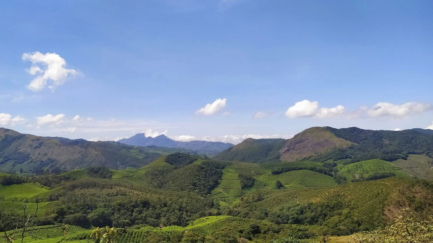 some hills on the side of a road and trees