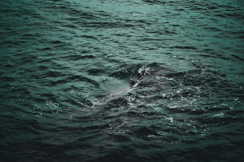 an empty boat in the ocean from above