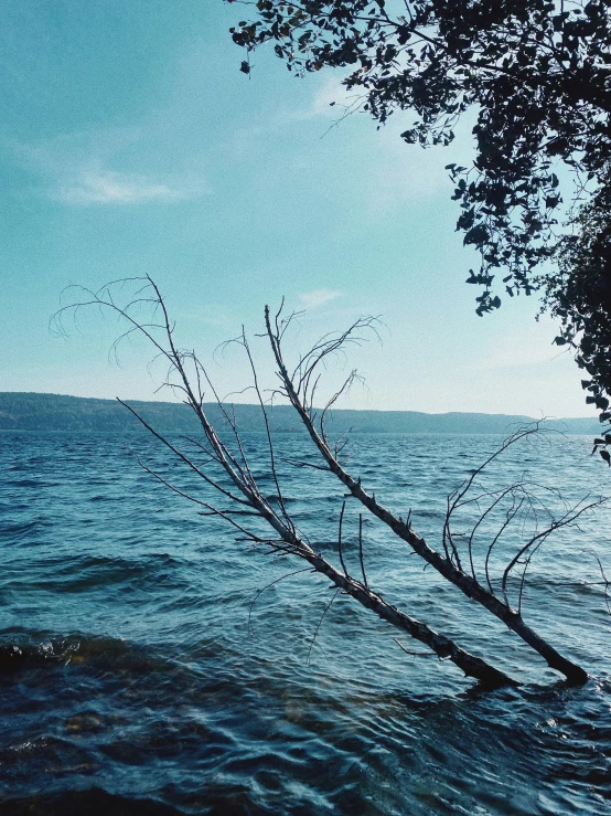 the shore line is clear and empty of people