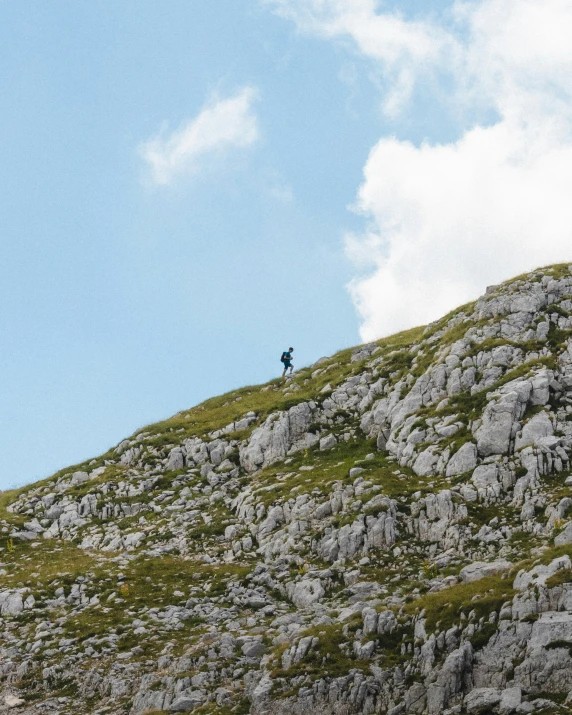 a lone animal standing on a mountain top