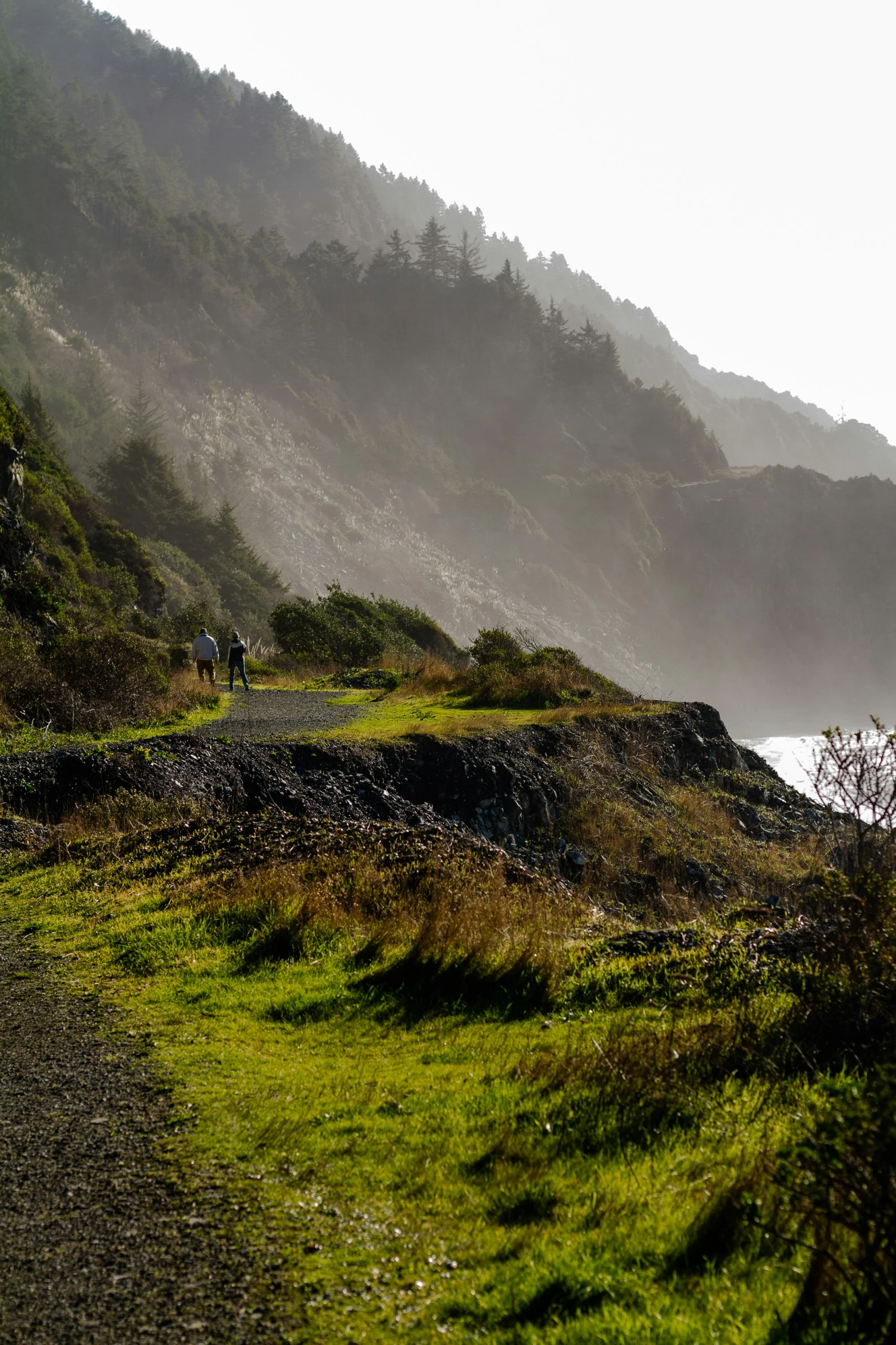 two people walk down a path near the ocean