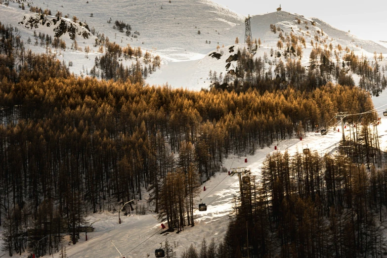 a snow - covered ski slope with trees, cars and people on the ground