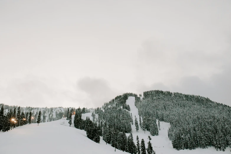 a snow covered mountain side with trees