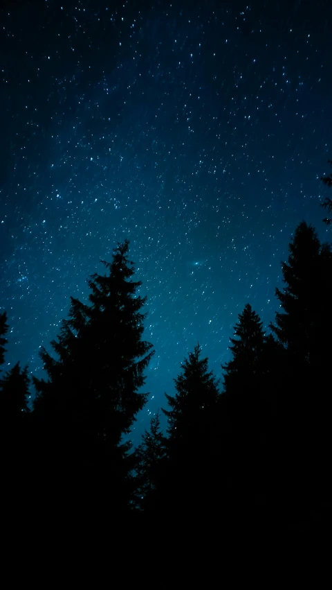 the stars are visible in the night sky above the trees