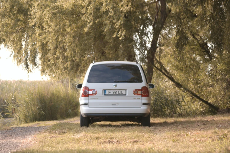 a white car parked next to a tree on a dirt road