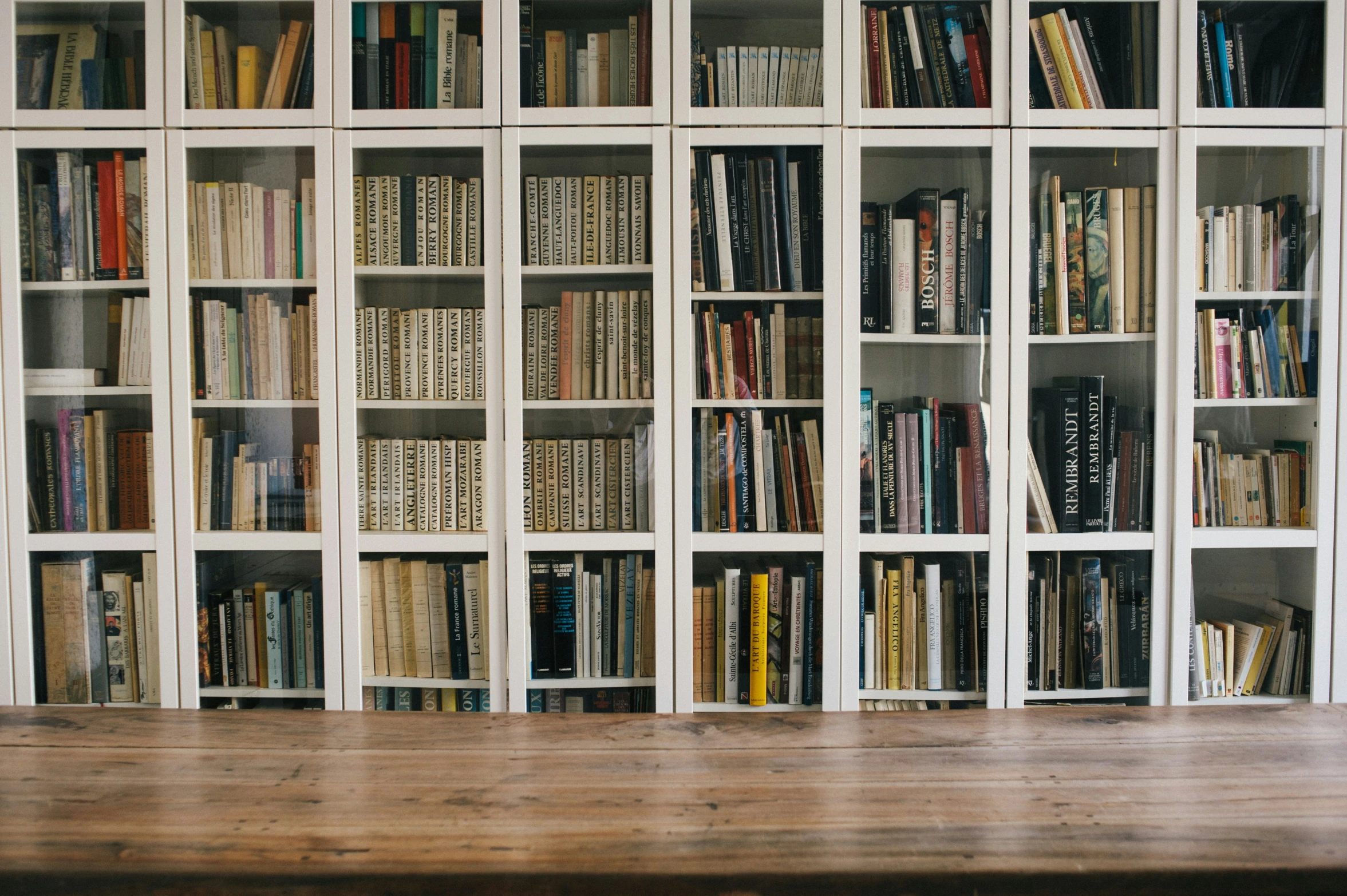 the books are lined up in a row