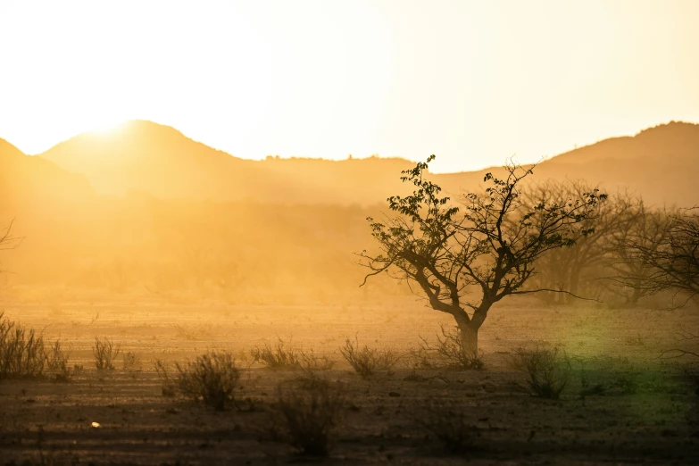 the sun shines brightly behind a barren hill