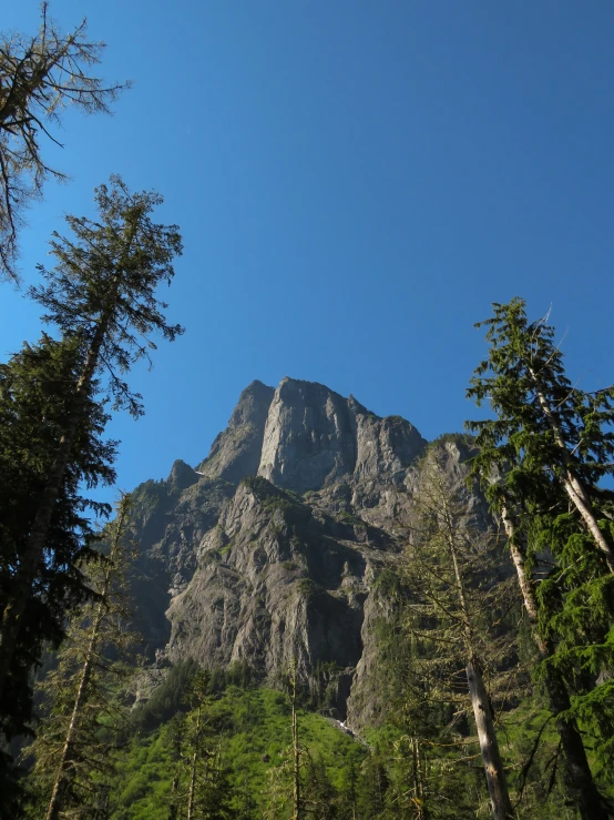 a very tall mountain towering over some trees