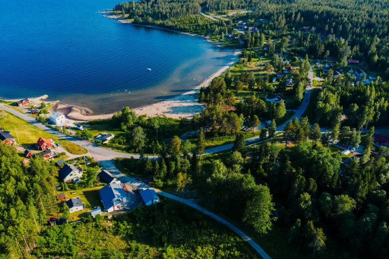 a scenic view of a coastline surrounded by evergreens