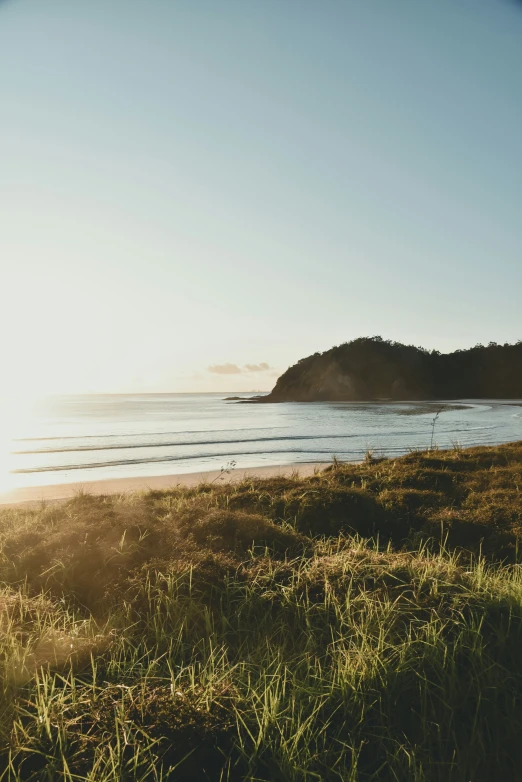 a sandy beach next to some green grass and trees