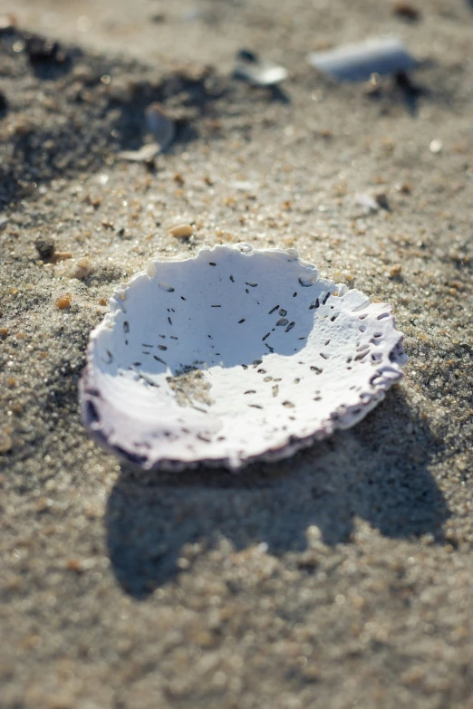 there is a small bowl sitting in the sand