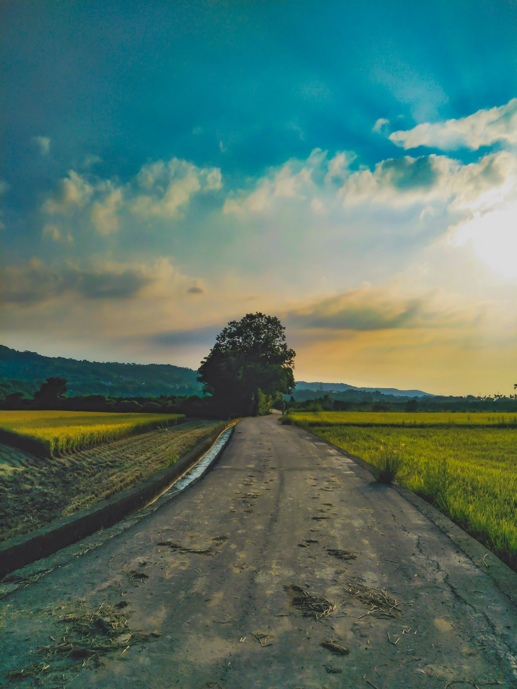 a long dirt road and field with sun in background