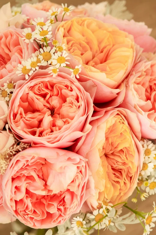 the large pink and yellow flowers are surrounded by small white flowers