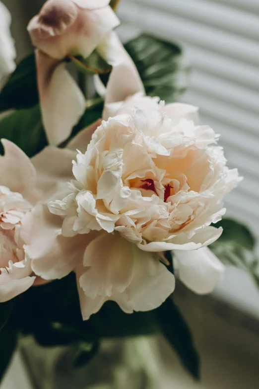 two pink flowers in a vase with greenery and other flowers