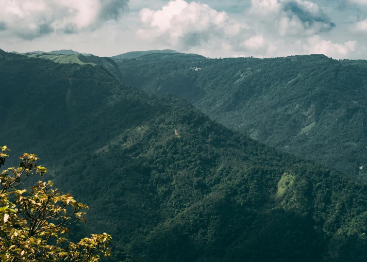 mountains rise above the forested forest and a valley