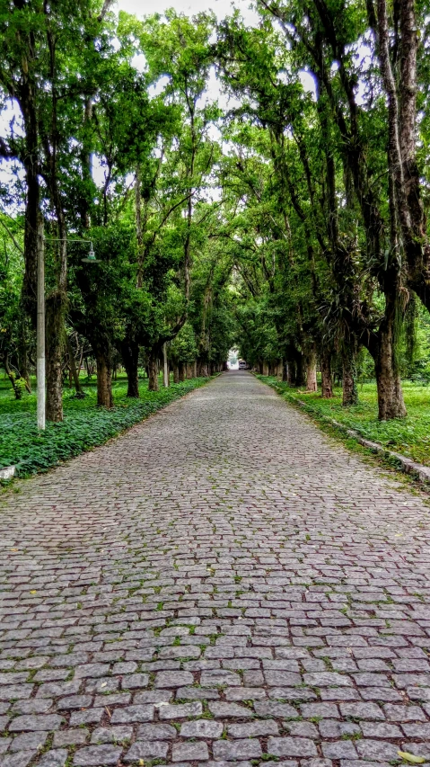 a brick road in the middle of the park