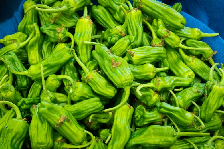 a large blue bowl filled with green peppers