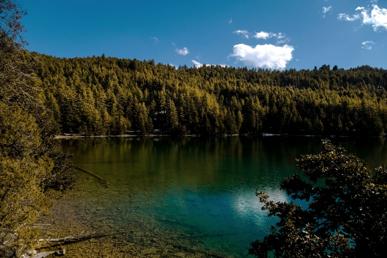 clear lake surrounded by wooded mountains under blue sky