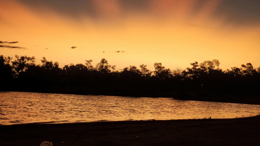 a lone bird stands on a shoreline near the water