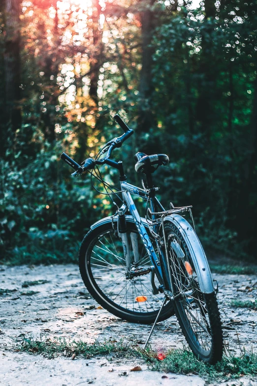 the bike has had several tires and has two forks