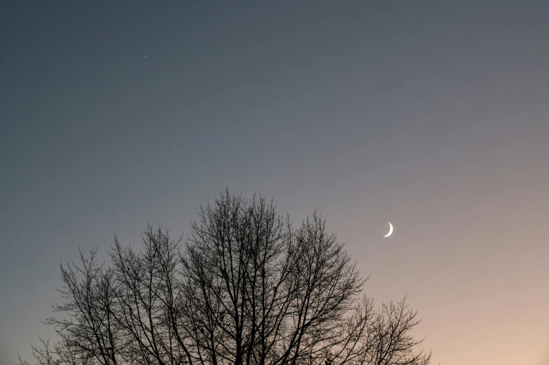 the sun is shining over the trees and crescent