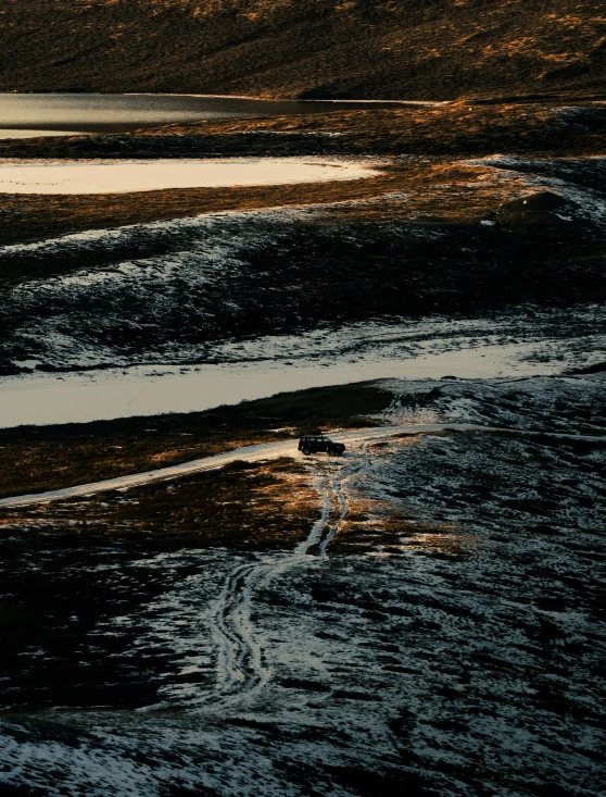 a bird is standing in the water next to a beach