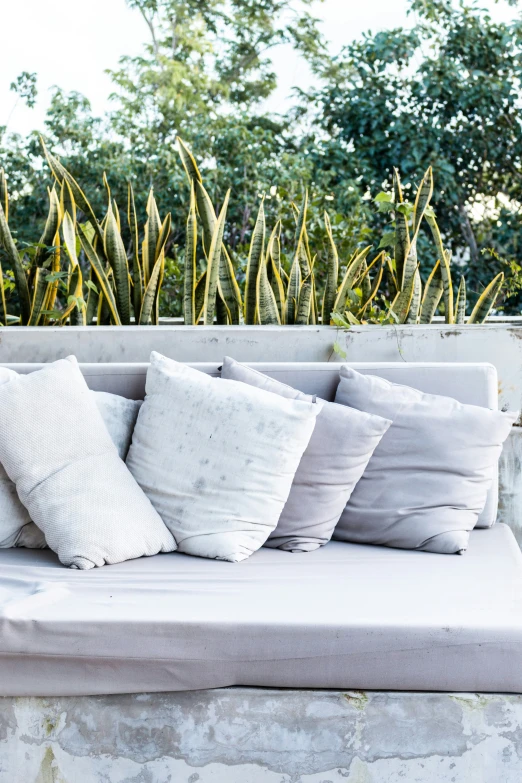 this is a set of cushions sitting on a bench in front of trees