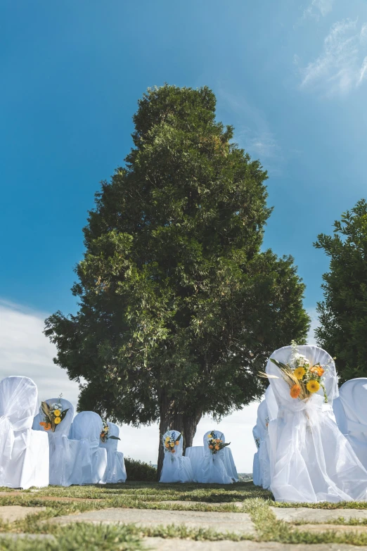 a tree with a lot of white cloth dd over it