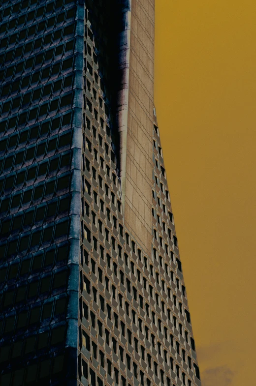 a bird flies near a building and a bird is sitting