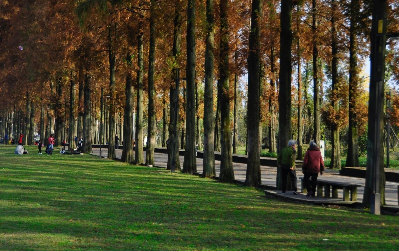 people walking in a park on a sunny day