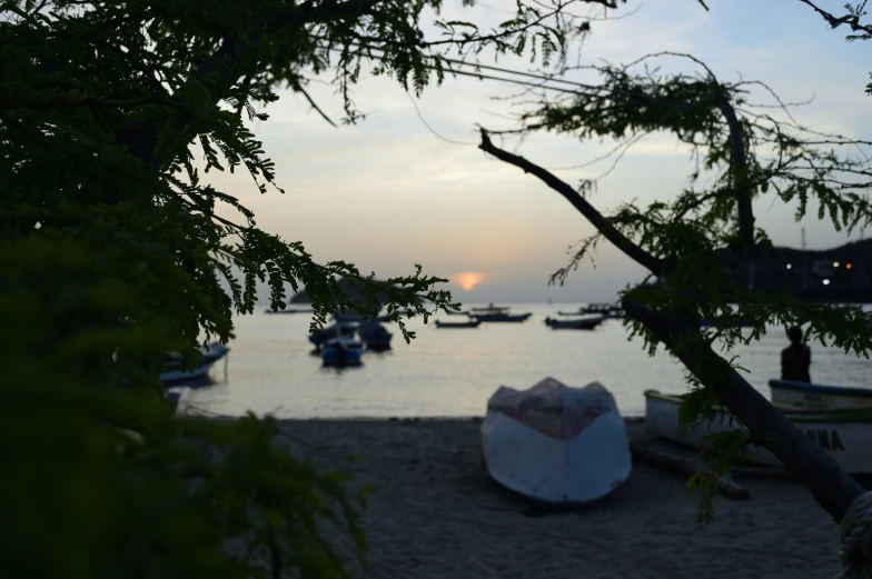 boats are seen anchored on the river side